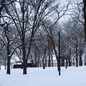 Meet your Posher, Liberty